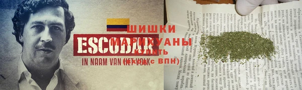 apvp Корсаков