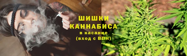 тгк Коряжма