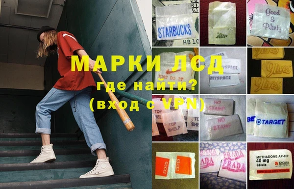 дживик Костерёво