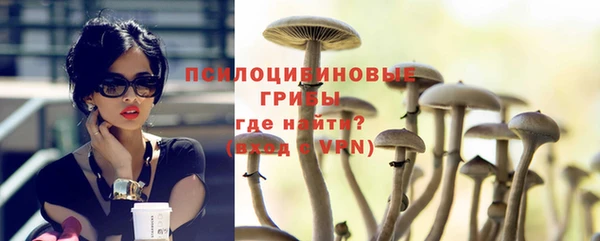 тгк Коряжма
