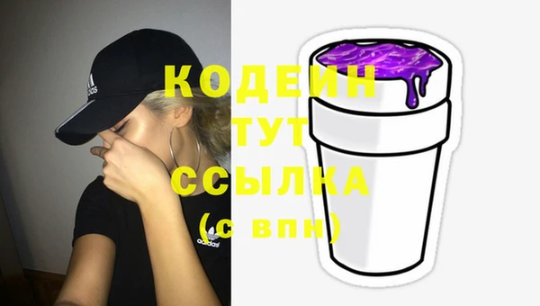 дживик Костерёво