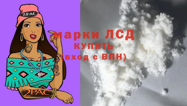 тгк Коряжма