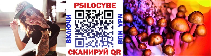 Купить закладки  Печора  Галлюциногенные грибы GOLDEN TEACHER 
